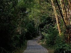 -水濂山森林公园