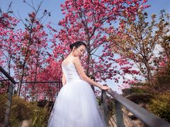 -理想国摄影(三塔店)