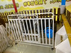 -鹏欣水游城