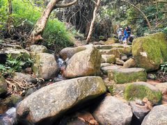 -阳台山森林公园