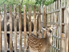 -水上乐园·欢乐世界