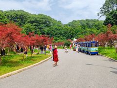 -广州市帽峰山景区