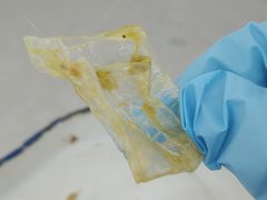 -北京赛佳动物医院