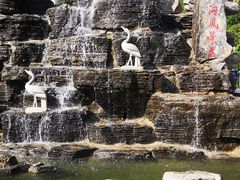 -大岭沟猕猴桃谷风景区