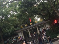 -杭州西湖风景名胜区-满觉陇四眼井