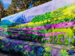 -广州白江湖森林公园