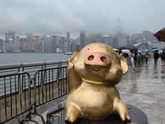 -星光大道