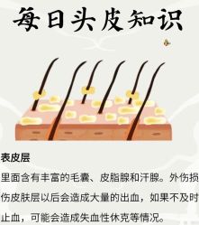 -Bollins波林丝•专研护发中心