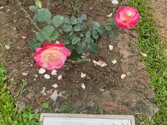 -人民公园(罗湖区)