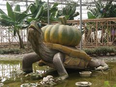 景点-观光南瓜园