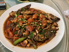 -生态苑农庄(十里画廊遇龙河店)