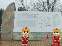 -北京凤凰岭