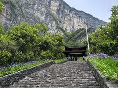 -鹿院坪生态旅游景区