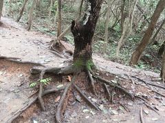 -紫金山山顶公园