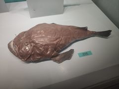 -天津自然博物馆