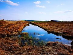 -塞罕坝国家级自然保护区