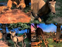 -国家自然博物馆