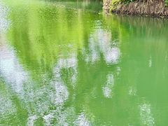 -荔枝公园(福田区)