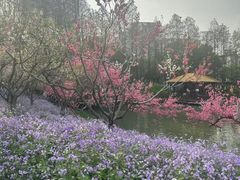-圩墩遗址公园