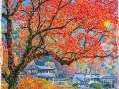 -塔川景区
