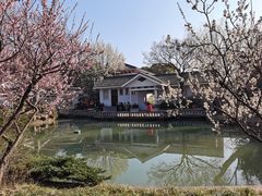 -无锡梅园公园