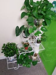 -荟草堂专业痘肌皮肤管理