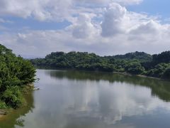 -福建鲤鱼洲酒店