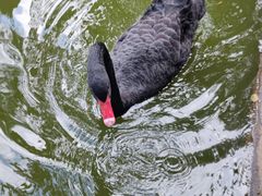 -海南热带野生动植物园
