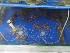 -阳澄湖大闸蟹·琼灵阁牌品牌连锁(吴中总店)