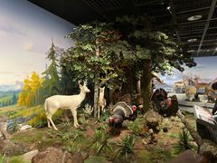 -陕西自然博物馆