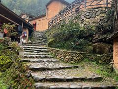 -杨家堂村