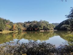 -广州市石门国家森林公园