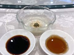 -海中洲渔社