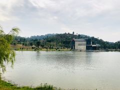 -东莞植物园