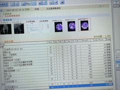 -创凡宠物医院·骨专科  猫科中心(西乡分院)