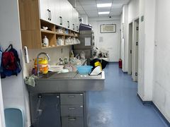 -瑞派长江宠物医院·猫科·外科·24小时夜护(谊城公寓分院)