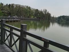 -海珠湖公园