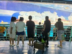 -海合安武汉极地海洋公园