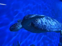 -成都浩海立方海洋公园