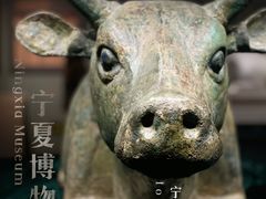 -宁夏博物馆