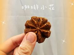 -珍妮曲奇聪明小熊(尖沙咀店)