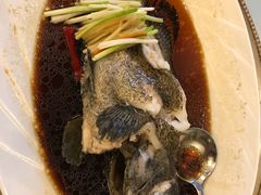 葱油老虎斑-万宝海鲜舫(劳动公园店)