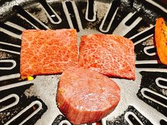 -炼火烤肉店