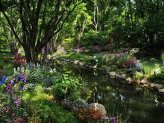 -上海共青森林公园