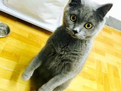 -Oh My Dog宠物沙龙(伊珊娜皮毛护理店)