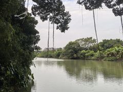 -小洲村