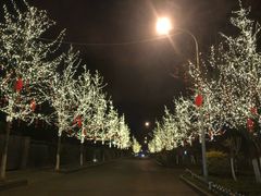 -温江公平红烧兔(总店)