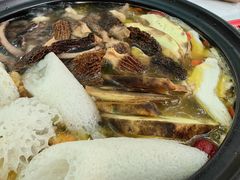 -蘑统田下·野生菌火锅