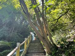-西安祥峪森林公园
