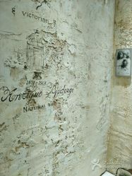 -星豆豆儿童摄影(南郊太白南路店)